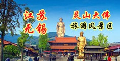 传媒尿道呦呦江苏无锡灵山大佛旅游风景区